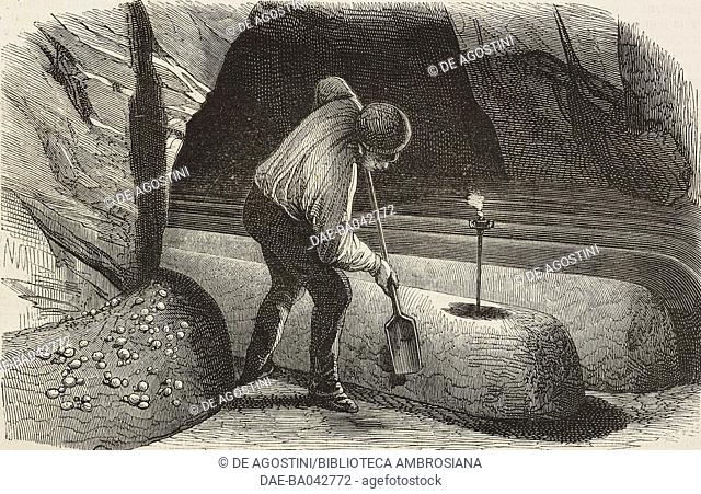 Cultivation of champignon mushrooms in caves near Paris, France, illustration from L'Illustration, Journal Universel, No 573, Volume XXIII, February 18, 1854