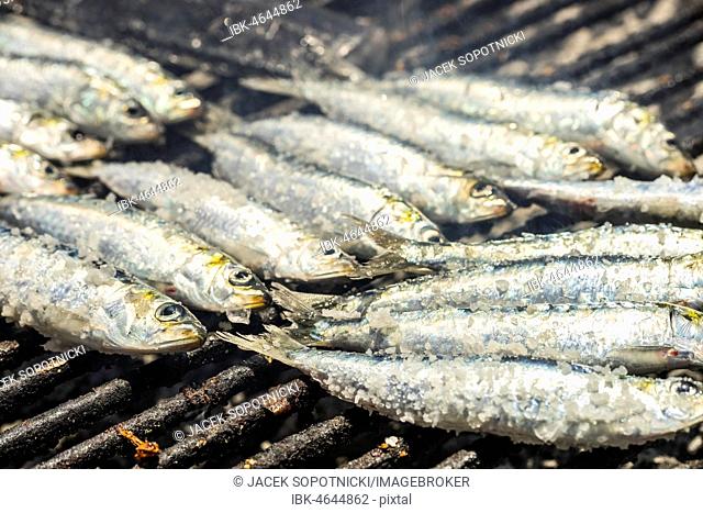 Preparing barbecued sardines, traditional Portuguese food, Porto, Portugal