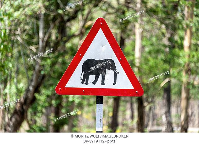 Traffic signs, warning of crossing elephants, Nagarhole National Park, Karnataka, India