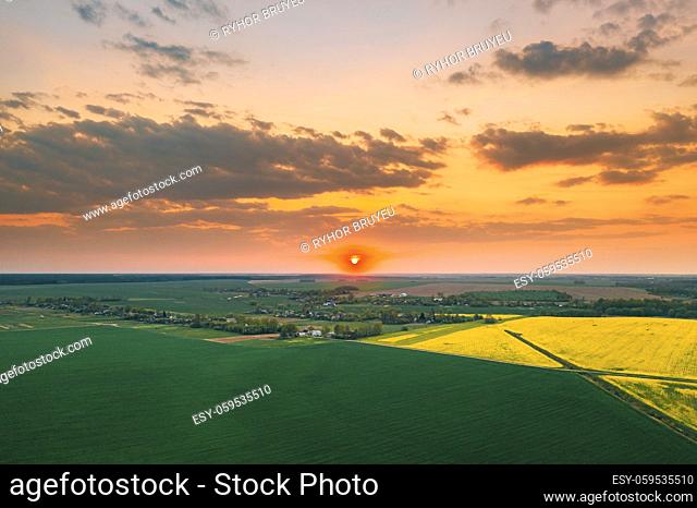 Aerial View Of Green Meadow And Field With Blooming Canola Yellow Flowers. Top View Of Blossom Plant, Rapeseed Meadow Grass Landscape At Sunset Sunrise