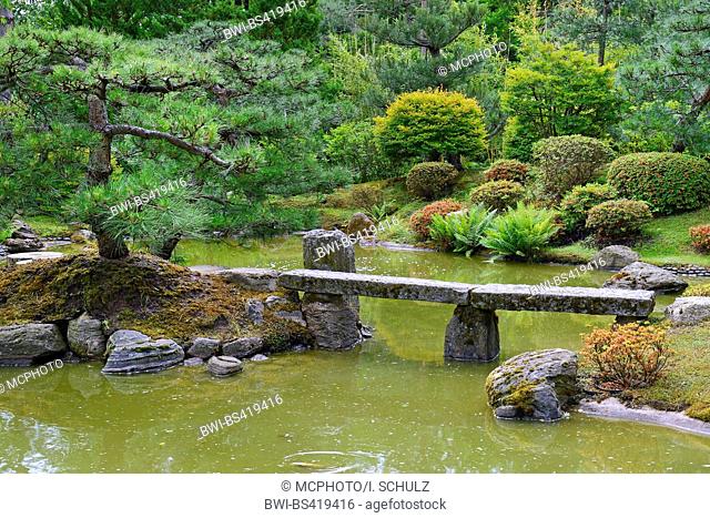 typical Japanese garden with stone decoration and koi pond