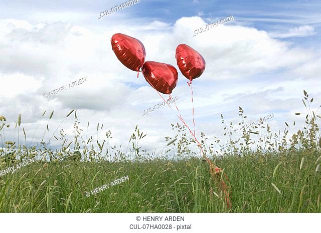 Heart shaped balloons in field