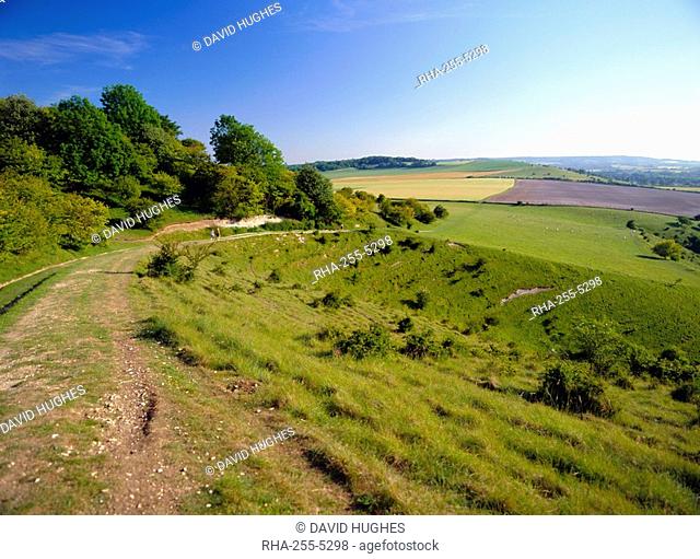 The Ridgeway Path between Steps Hill and Pitstone Hill, Chilterns, Buckinghamshire, England, UK, Europe