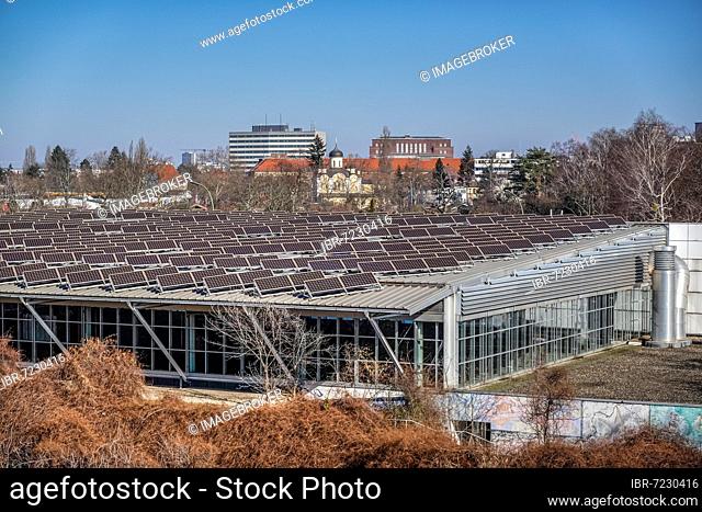 Solar roof, Gretel-Bergmann-Sporthalle, Rudolstädter Straße, Wilmersdorf, Berlin, Germany, Europe