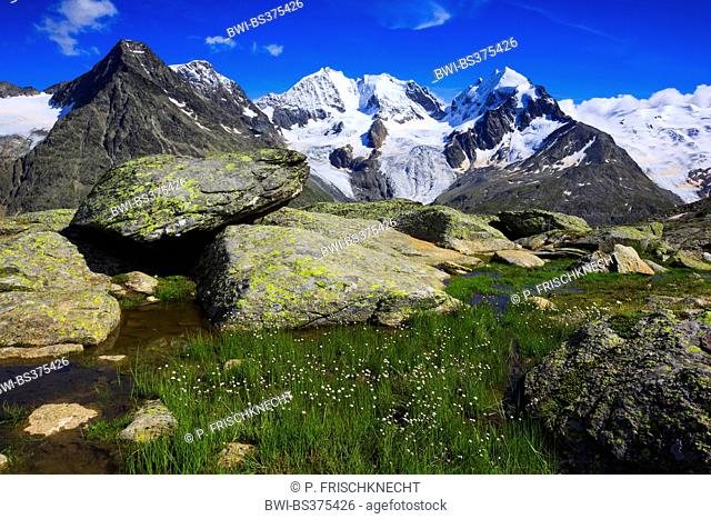view from Fuorcla Surlej onto Piz Tschierva-3546 m, Piz Bernina-4049 m, Biancograt, Piz Roseg-3937 m, Switzerland, Grisons, Engadine