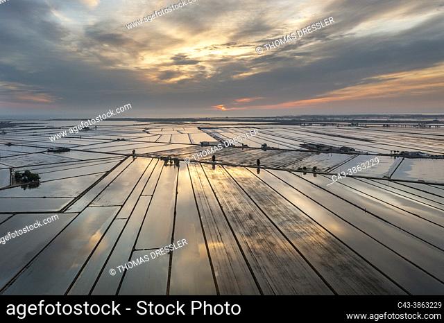 Flooded rice fields in May at daybreak. Aerial view. Drone shot. Ebro Delta Nature Reserve, Tarragona province, Catalonia, Spain