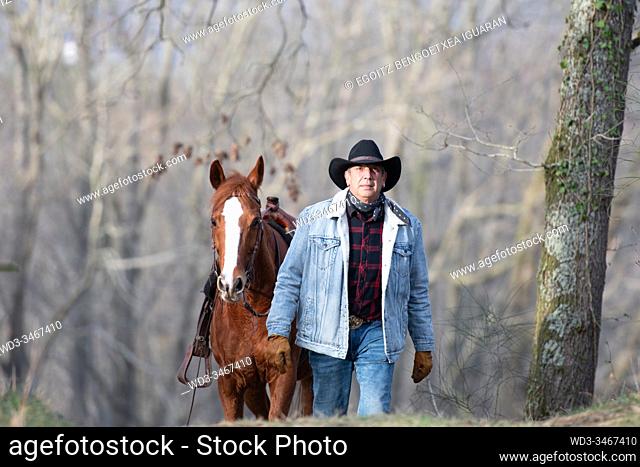 An arabian horse following a veteran cowboy in the forest