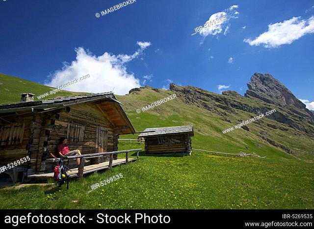 Alpine pasture on the Seceda with Geislerspitzen, Val Gardena, Dolomites, Trentino South Tyrol, Italy, Europe
