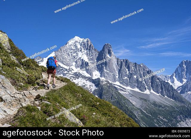 Hiker on foot, Grand Balcon Sud, Aiguille Verte summit, Grandes Jorasses, Mont Blanc massif, Chamonix-Mont-Blanc, Haute-Savoie, France, Europe