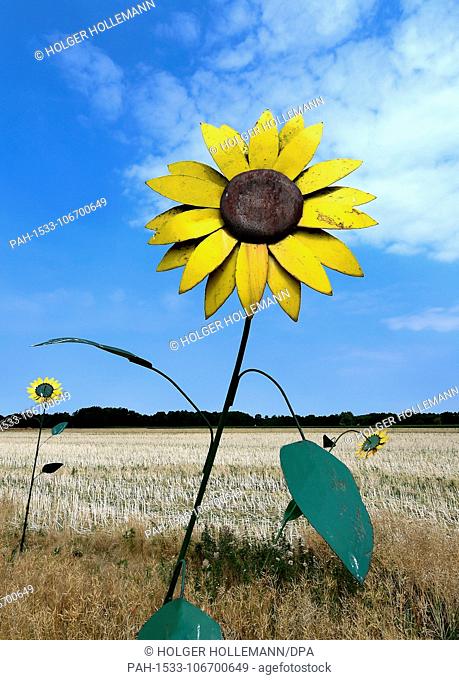 20 July 2018, Germany, Wedemark: Metal sunflowers standing under the sunlight in the Feldmark near Brelingen. Photo: Holger Hollemann/dpa | usage worldwide