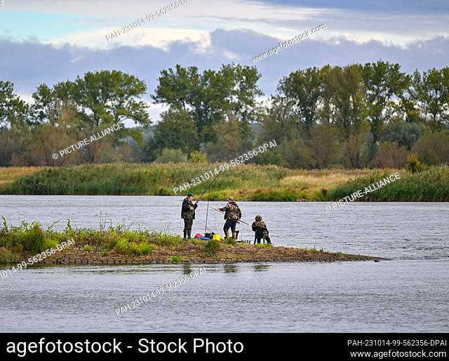 14 October 2023, Brandenburg, Brieskow-Finkenheerd: Anglers are seen on a groyne at the project day ""Fishing for Science on the Oder""