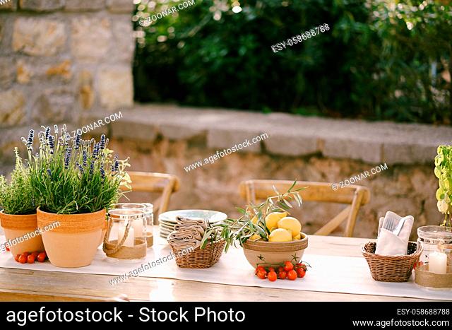 Ancient rectangular wooden tables with rag runner, wooden vintage chairs, lavender pots, cherry tomatoes and clay pots with lemons on tables