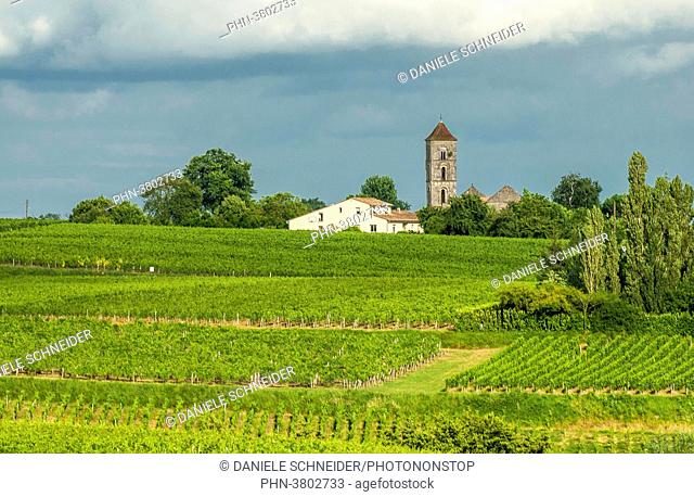 France, Gironde, Montagne, steeple of St Georges church appearing in the AOC St Georges-St-Emilion vineyard