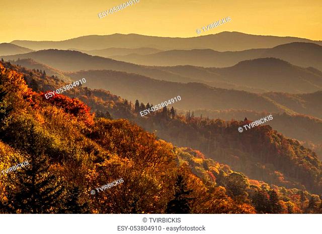 Colorful fall foilage on mountainsides with hazy layers early morning in Great Smoky Mountains National Park