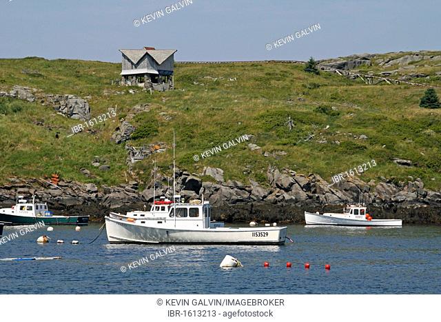 Lobster boats mooring, Manana Island, Maine coast, New England, USA