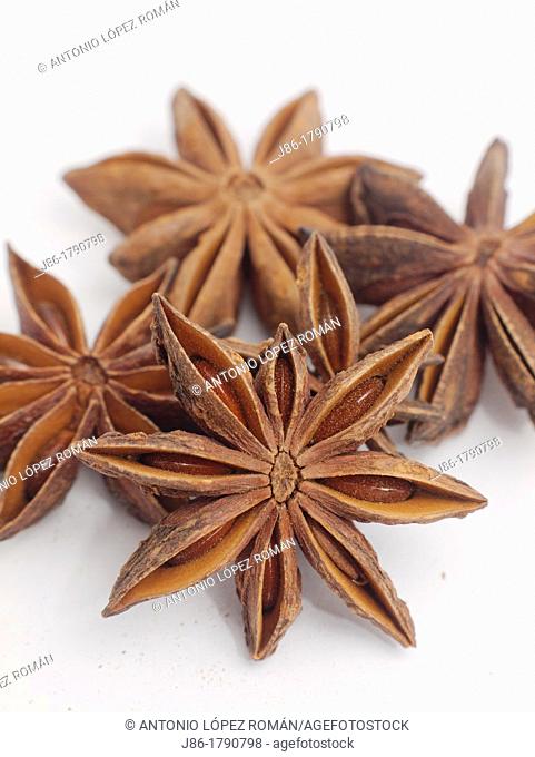 Exotic and medicinal spice, Star anise (Illicium Verum)