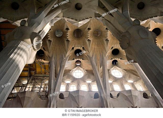 Tree-shaped columns and vault, La Sagrada Família or Expiatory Temple of the Holy Family, Unesco World Heritage Site, Barcelona, Catalonia, Spain, Europe
