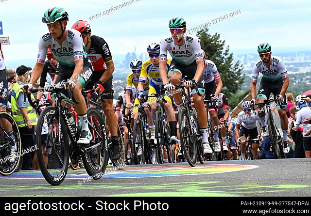 19 September 2021, Hessen, Königstein-Mammolshain: The peloton with Nils Politt (M) of Team Bora Hansgrohe is at the climb to the Mammolshainer Stich in the UCI...