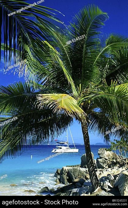 Palm Beach on Peter Island, British Virgin Islands, Caribbean, North America
