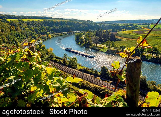 The Moselle at Palzem-Wehr, Upper Moselle, Rhineland-Palatinate, Germany