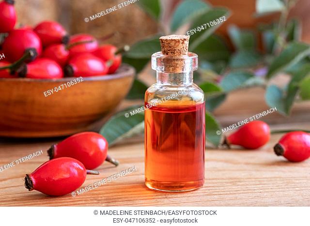 A bottle of rose hip seed oil with fresh plant