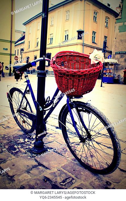 Beautiful white rose and a red basket on the bike at the Old Town in Krakow, Poland