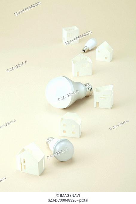 LED bulbs and miniature houses