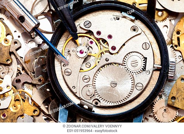 watchmaker workshop - top view of screwdriver, tweezers on clockwork on clock spare parts
