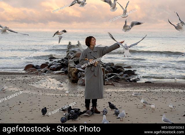 Woman feeding seagulls and pigeons at sunset