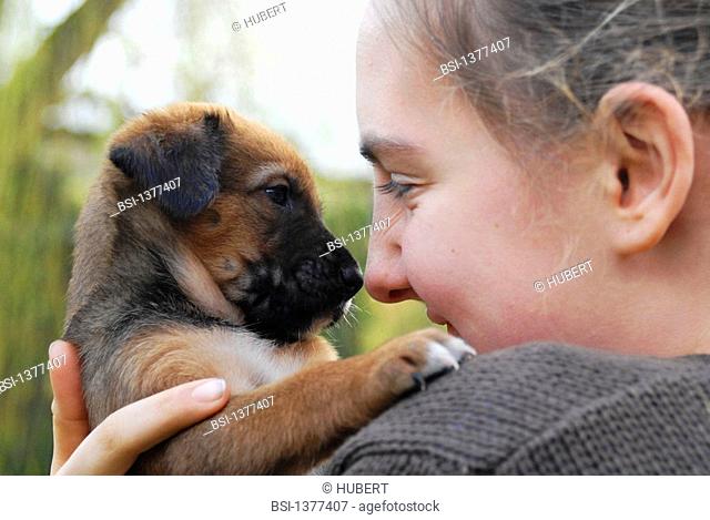 CHILD WITH ANIMAL Puppy with a girl. Canis lupus familiaris  Domestic dog  Dog  Canid  Mammal