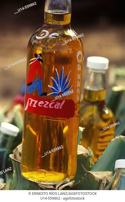 Bottles of mezcal. Mezcal is a schnapps distillated in Oaxaca from the Agave angustifolia haw cone. Different kinds of Agaves are used in Mexico to produce hard...