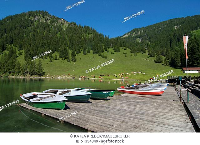 Vilsalpsee lake in the Naturschutzgebiet Vilsalpsee nature reserve, Tannheimer Tal valley, Allgaeu, Tyrol, Austria, Europe