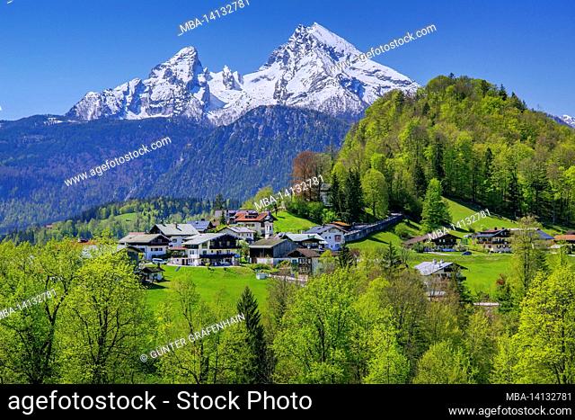 district at lockstein against watzmann 2713m, berchtesgaden, berchtesgaden alps, berchtesgadener land, upper bavaria, bavaria, germany