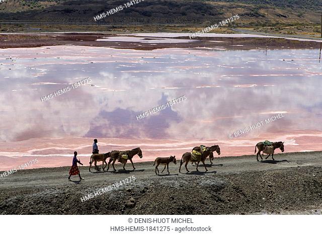 Kenya, lake Magadi, Masai people with their donkeys, aerial view