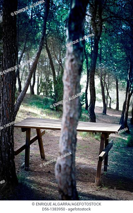 Table, El Bosquet, Moixent, Valencia province