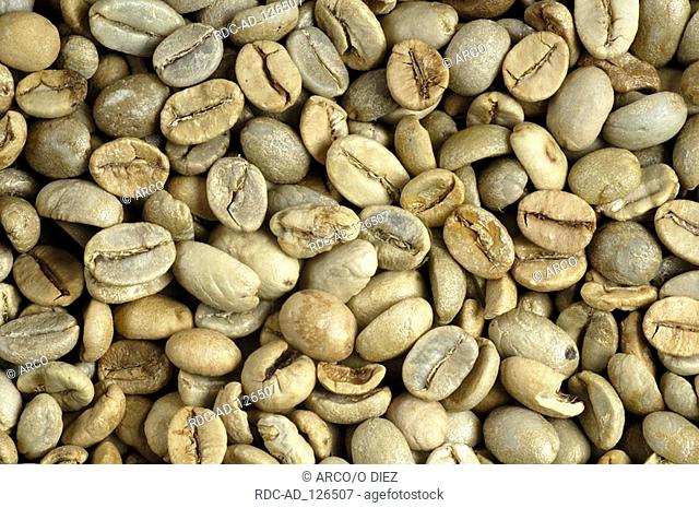 Coffee beans Minas raw Coffea spec