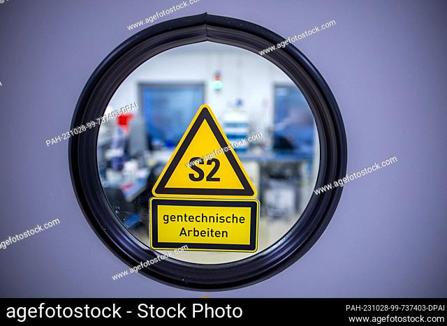 PRODUCTION - 24 October 2023, Mecklenburg-Western Pomerania, Teterow: A viewing window in the access to an S2 laboratory for genetic engineering work at...
