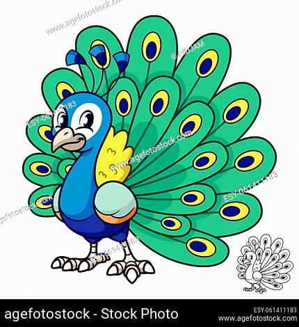 Peacock Mascot Vector - Only Creative Stock Images, Photos & Vectors |  agefotostock