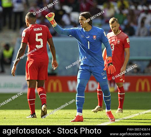 November 24th, 2022, Khalifa International Stadium, Doha, QAT, World Cup FIFA 2022, Group G, Switzerland vs Cameroon, in the picture Switzerland's defender...