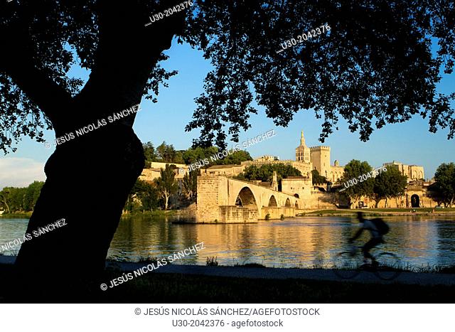 View of Pont d'Avignon (or Pont St Benezet) and Rhone river towards the Papes Palace in the early evening, Avignon city, in Provenza-Alpes-Cotes d'Azur region