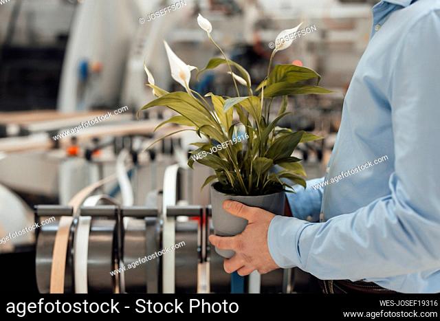 Businessman standing with potted plant at industry