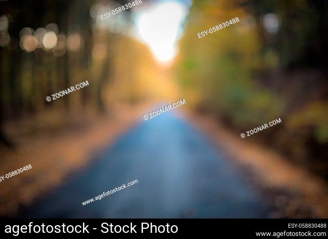 Beautiful out of focus autumn forest with road and sunlight. Useful as backgroud