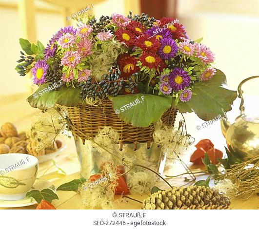 Autumn arrangement of asters, Viburnum fruits etc