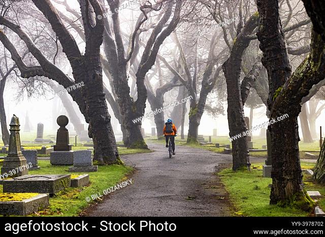 Cyclist in Ross Bay Cemetery - Victoria, Vancouver Island, British Columbia, Canada