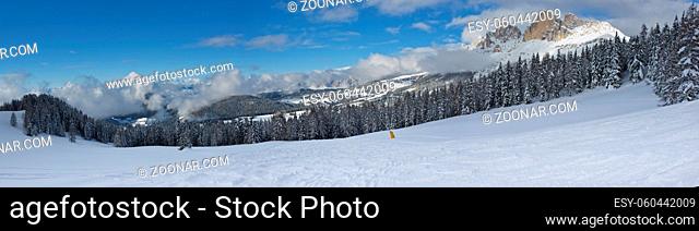 The idyllic panorama of the snowy forest and peaks in the Dolomiti
