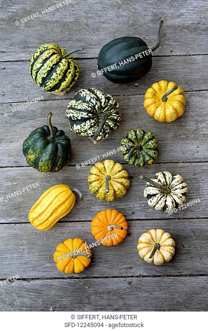 Small pumpkins of the Pepo Gerri variety