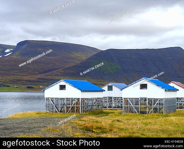 Huts for drying of fish in Dyrafjoerdur near Thingeyri. The Westfjords (Vestfirdir) in Iceland during autumn. Europe, Northern Europe, Iceland
