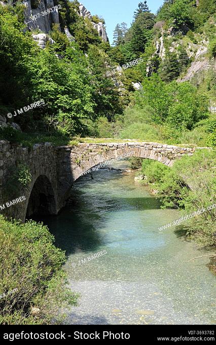 Esca or Ezka river near Isaba. Roncal valley, Navarra, Spain