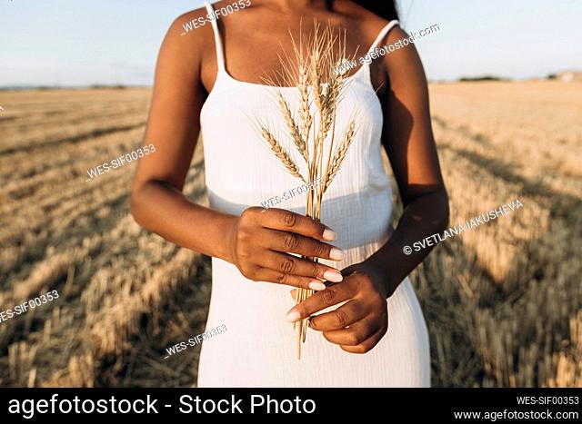 Woman wearing white dress holding wheat crop at farm