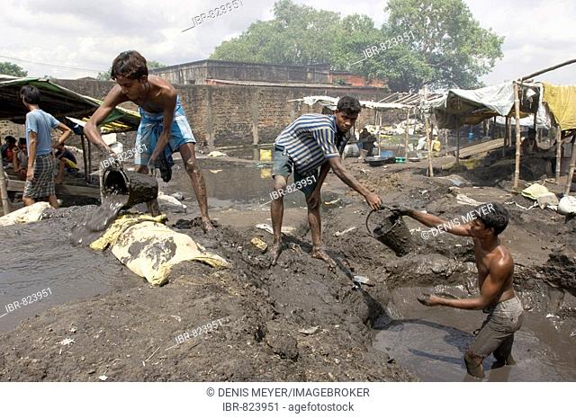 Inhabitants of slum living amid recycling of old industrial waste, young men pouring washed industrial cinder into a row of holes in the ground because of metal...